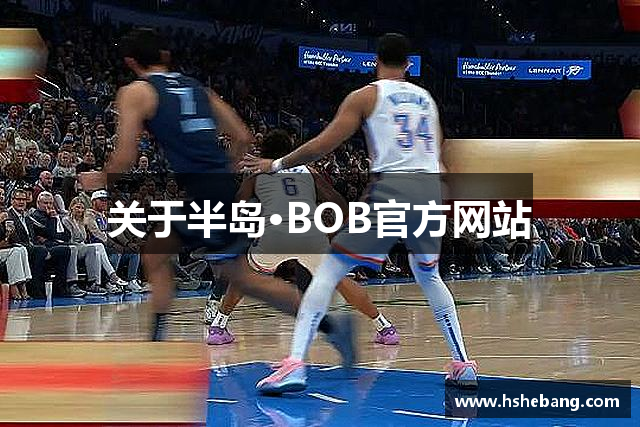 關(guān)于半岛·BOB官方网站